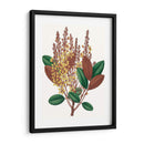 Follaje De Otoño Ii | Cuadro decorativo de Canvas Lab