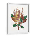 Follaje De Otoño Ii | Cuadro decorativo de Canvas Lab