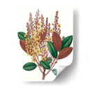 Follaje De Otoño Ii | Cuadro decorativo de Canvas Lab