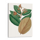 Follaje De Otoño Iii | Cuadro decorativo de Canvas Lab