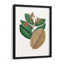 Follaje De Otoño Iii | Cuadro decorativo de Canvas Lab