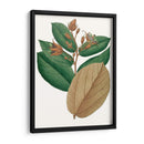 Follaje De Otoño Iii | Cuadro decorativo de Canvas Lab