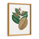 Follaje De Otoño Iii | Cuadro decorativo de Canvas Lab