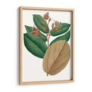 Follaje De Otoño Iii | Cuadro decorativo de Canvas Lab