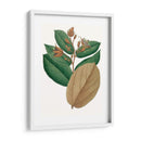 Follaje De Otoño Iii | Cuadro decorativo de Canvas Lab