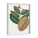 Follaje De Otoño Iii | Cuadro decorativo de Canvas Lab