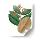 Follaje De Otoño Iii | Cuadro decorativo de Canvas Lab