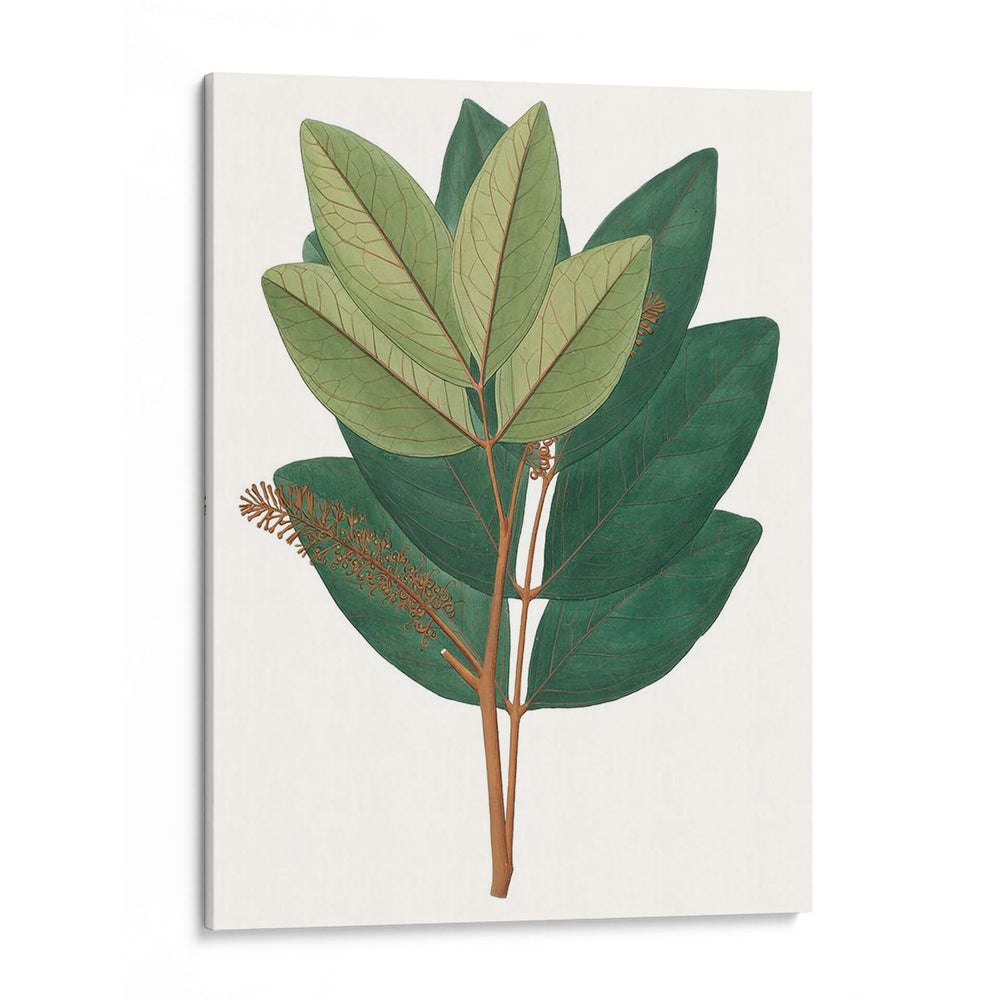 Follaje De Otoño Iv | Cuadro decorativo de Canvas Lab