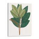 Follaje De Otoño Iv | Cuadro decorativo de Canvas Lab