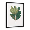 Follaje De Otoño Iv | Cuadro decorativo de Canvas Lab