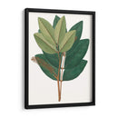 Follaje De Otoño Iv | Cuadro decorativo de Canvas Lab