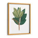 Follaje De Otoño Iv | Cuadro decorativo de Canvas Lab