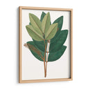 Follaje De Otoño Iv | Cuadro decorativo de Canvas Lab