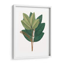 Follaje De Otoño Iv | Cuadro decorativo de Canvas Lab