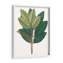 Follaje De Otoño Iv | Cuadro decorativo de Canvas Lab