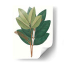 Follaje De Otoño Iv | Cuadro decorativo de Canvas Lab