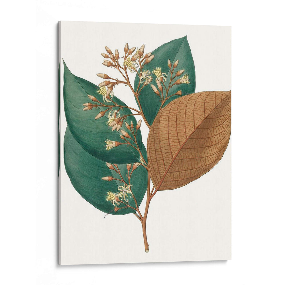 Follaje De Otoño V | Cuadro decorativo de Canvas Lab