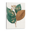 Follaje De Otoño V | Cuadro decorativo de Canvas Lab