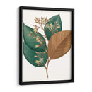 Follaje De Otoño V | Cuadro decorativo de Canvas Lab