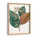 Follaje De Otoño V | Cuadro decorativo de Canvas Lab
