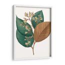 Follaje De Otoño V | Cuadro decorativo de Canvas Lab