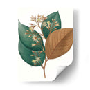 Follaje De Otoño V | Cuadro decorativo de Canvas Lab