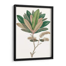 Follaje De Otoño Vi | Cuadro decorativo de Canvas Lab