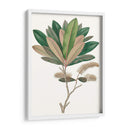 Follaje De Otoño Vi | Cuadro decorativo de Canvas Lab