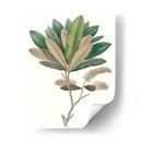 Follaje De Otoño Vi | Cuadro decorativo de Canvas Lab