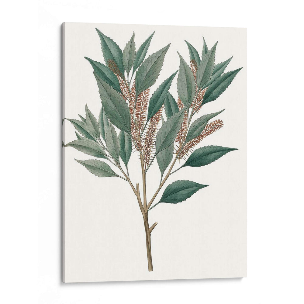Follaje De Otoño Viii | Cuadro decorativo de Canvas Lab