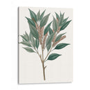 Follaje De Otoño Viii | Cuadro decorativo de Canvas Lab