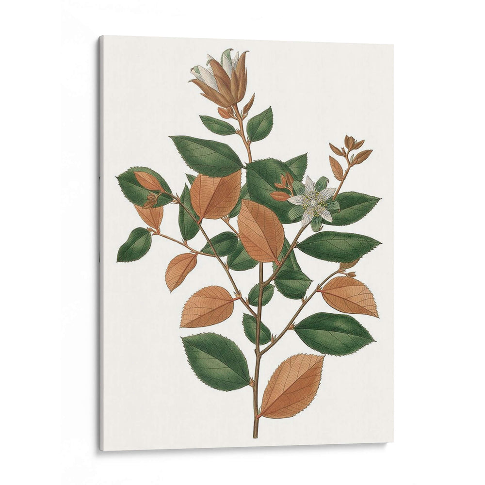 Follaje De Otoño Ix | Cuadro decorativo de Canvas Lab