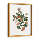 Follaje De Otoño Ix | Cuadro decorativo de Canvas Lab