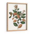 Follaje De Otoño Ix | Cuadro decorativo de Canvas Lab