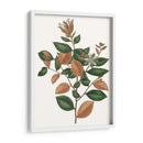 Follaje De Otoño Ix | Cuadro decorativo de Canvas Lab