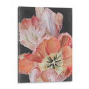 Tulipanes Pastel Parrot I - Jennifer Paxton Parker | Cuadro decorativo de Canvas Lab