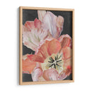 Tulipanes Pastel Parrot I - Jennifer Paxton Parker | Cuadro decorativo de Canvas Lab