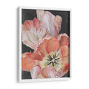 Tulipanes Pastel Parrot I - Jennifer Paxton Parker | Cuadro decorativo de Canvas Lab