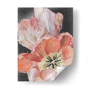 Tulipanes Pastel Parrot I - Jennifer Paxton Parker | Cuadro decorativo de Canvas Lab