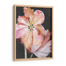 Parrot Pastel Tulips Ii - Jennifer Paxton Parker | Cuadro decorativo de Canvas Lab