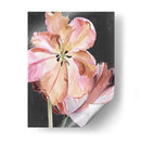 Parrot Pastel Tulips Ii - Jennifer Paxton Parker | Cuadro decorativo de Canvas Lab