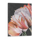 Parrot Pastel Tulips Iii - Jennifer Paxton Parker | Cuadro decorativo de Canvas Lab