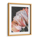Parrot Pastel Tulips Iii - Jennifer Paxton Parker | Cuadro decorativo de Canvas Lab