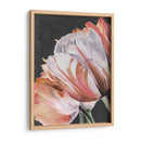 Parrot Pastel Tulips Iii - Jennifer Paxton Parker | Cuadro decorativo de Canvas Lab