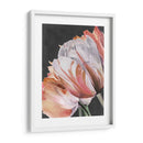 Parrot Pastel Tulips Iii - Jennifer Paxton Parker | Cuadro decorativo de Canvas Lab