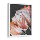 Parrot Pastel Tulips Iii - Jennifer Paxton Parker | Cuadro decorativo de Canvas Lab
