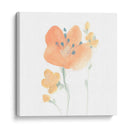 Pétalos Petitales Vi - June Erica Vess | Cuadro decorativo de Canvas Lab