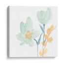 Petite Pétalos Ix - June Erica Vess | Cuadro decorativo de Canvas Lab