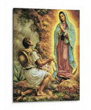 La aparición de la Virgen de Guadalupe | Cuadro decorativo de Canvas Lab