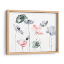 Poppy Haze Ii - Jennifer Paxton Parker | Cuadro decorativo de Canvas Lab